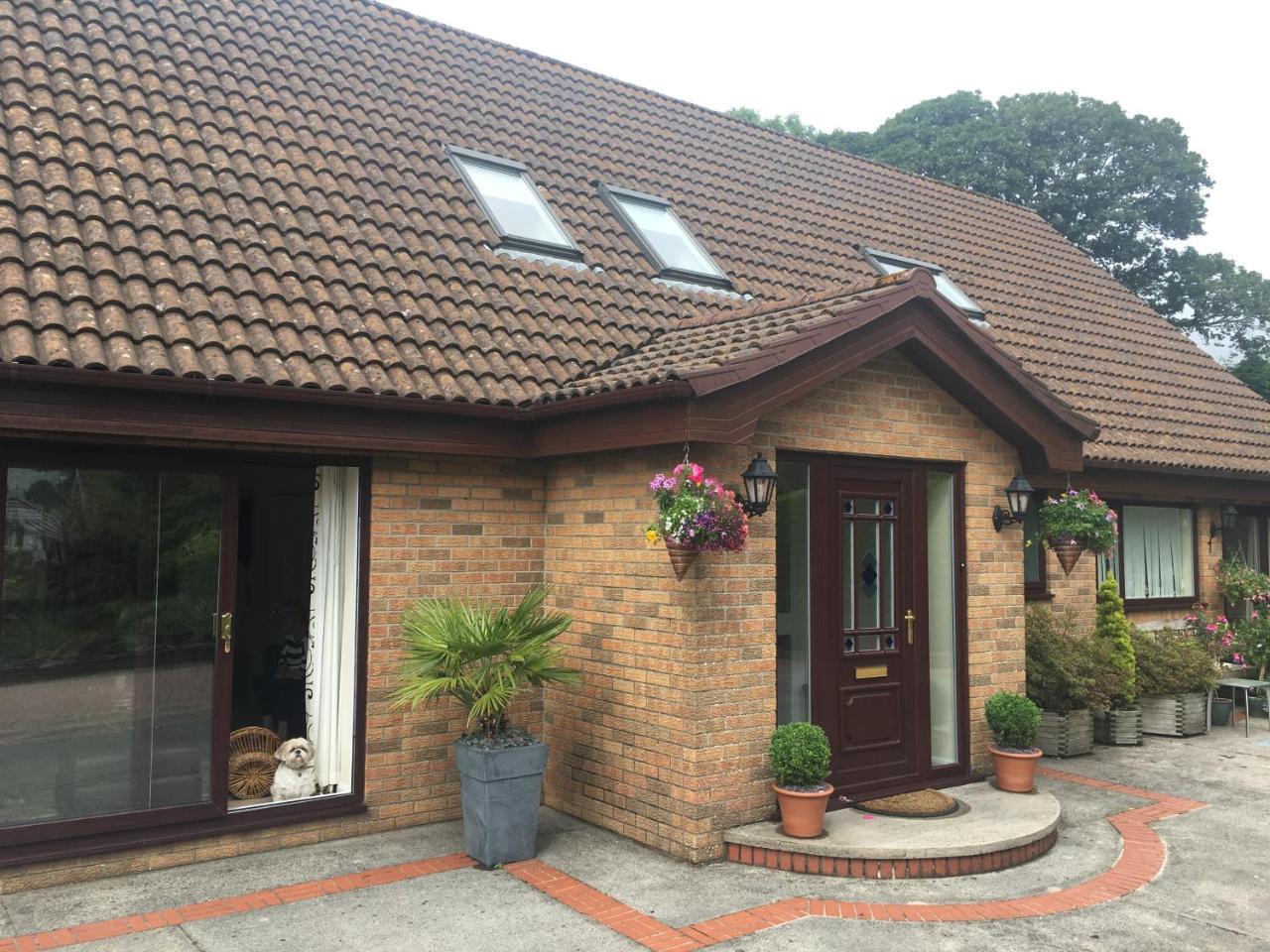 더글러스 The Firs - Englefield Studio B&B 외부 사진
